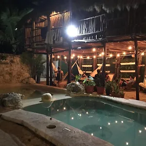 Bed & Breakfast Lobo, Tulum